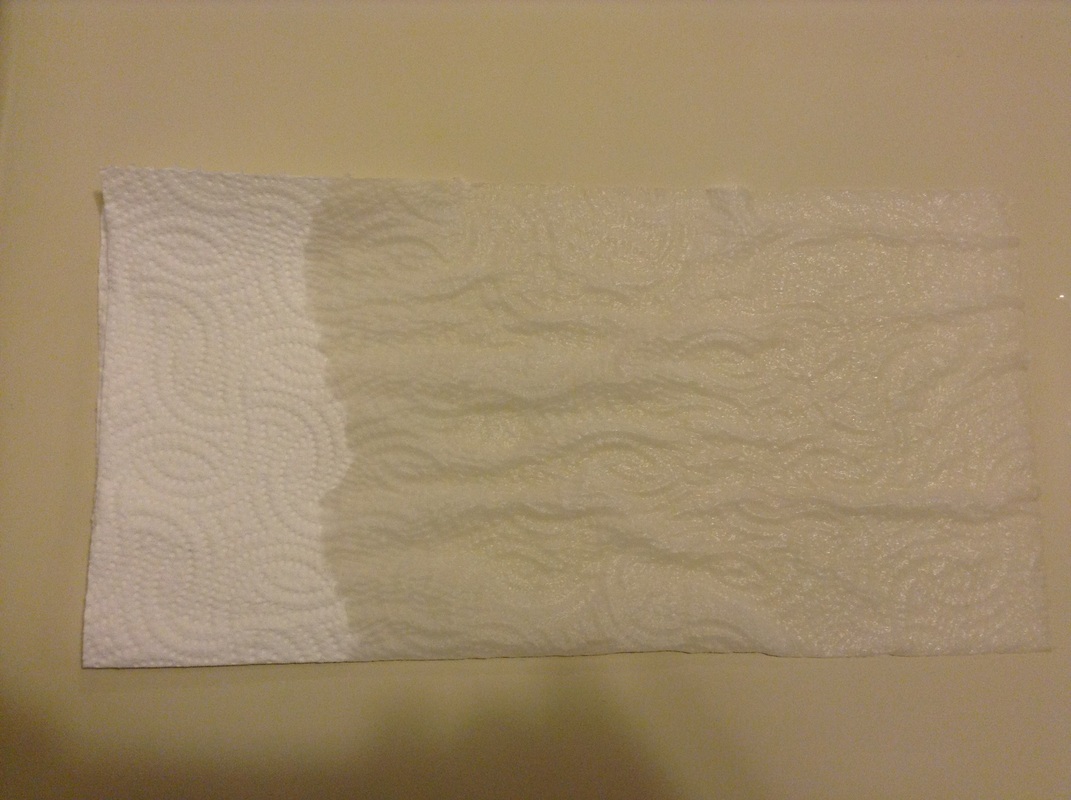 Paper Towel Experiment - SRM Lab Report Portfolio